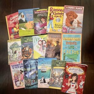15 Chapter Book Collection for Classroom Library